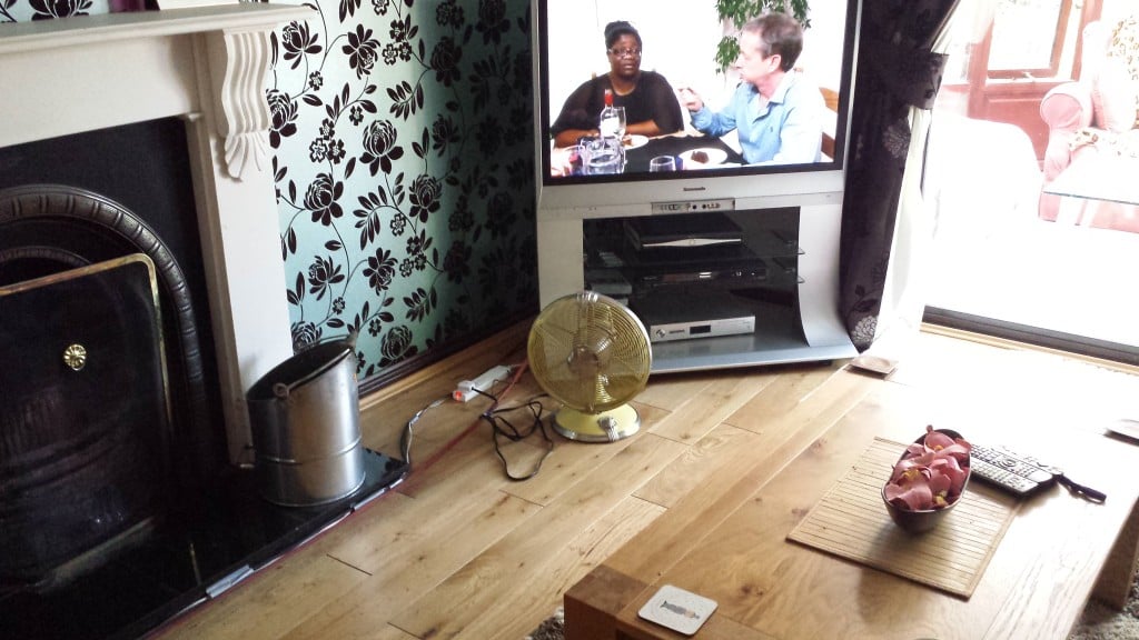 Rockefeller Fan in front of my TV cooling everyone perfectly when outside was 31 deg centigrade.