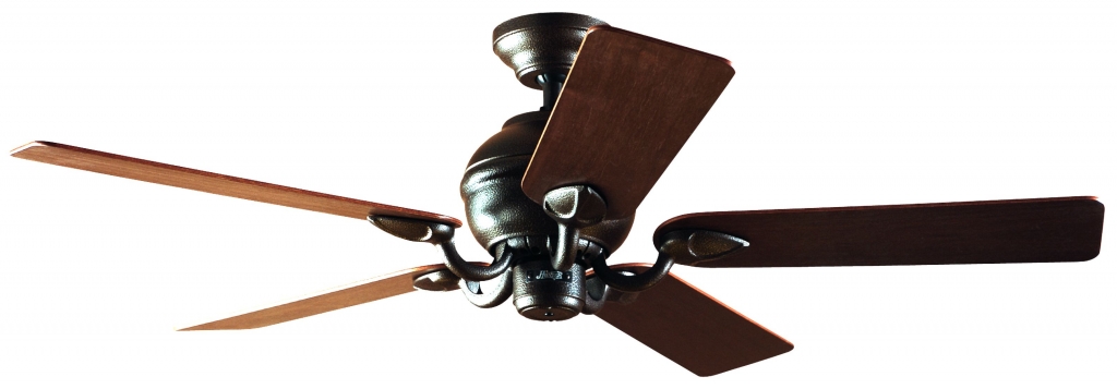 24252 Hunter Salinas bronze