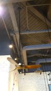 black-bear-burger-westfields-henley-fan2