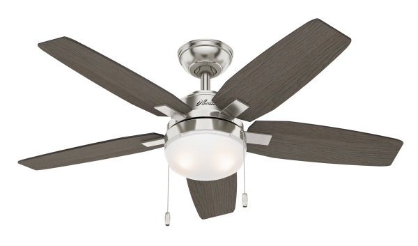 Hunter Arcot Ceiling Fan With Light