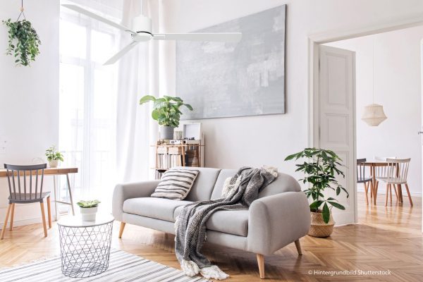 CasaFan Eco Neo III WiFi 92cm/36