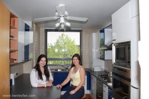 502_Hunter_ceiling_fan_brighton_kitchen     